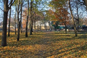 Козелец